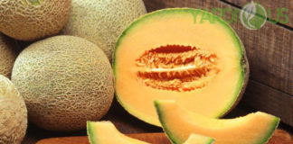 Health Benefits Of Cantaloupe Plant